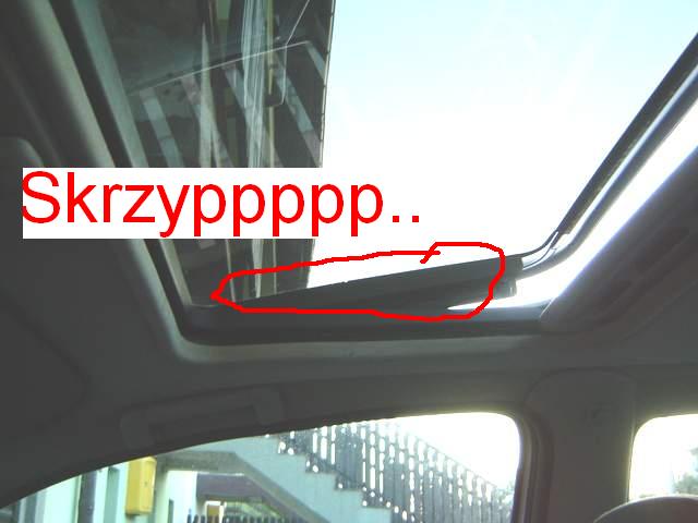 skrzy2.jpg