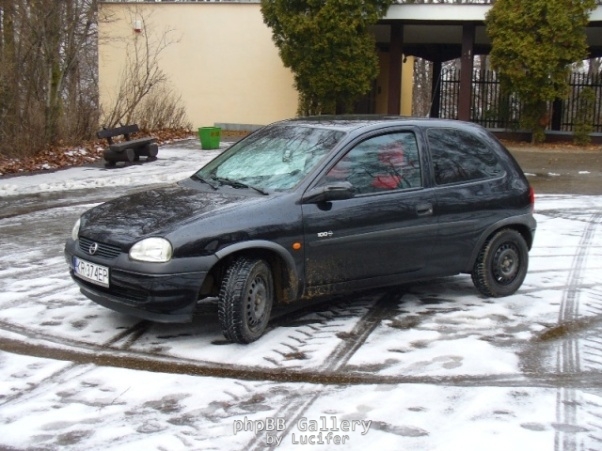 Zima 2007/2008 Las Wolski