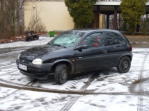Zima 2007/2008 Las Wolski