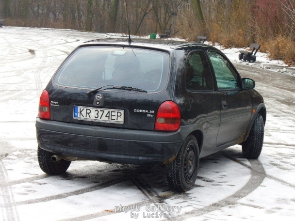 Zima 2007/2008 Las Wolski 2