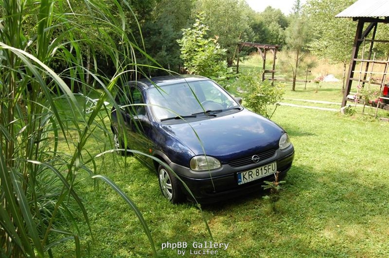 początek 1 (Large) (Medium).