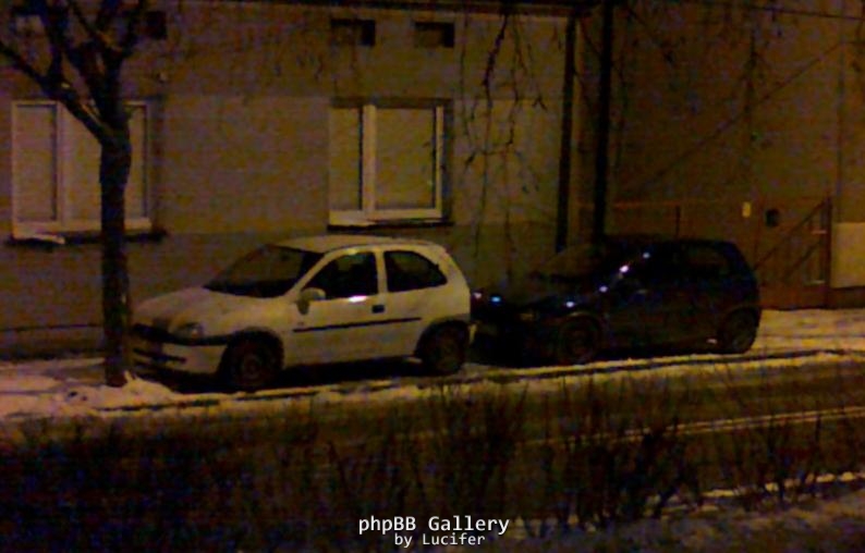 Bliźniaki